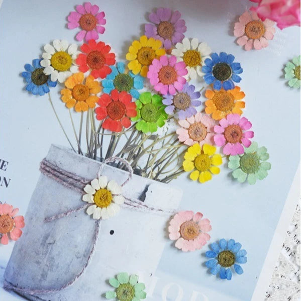 fleurs séchées multicolores bijoux résine décoration ongles maison intérieure artisanal anniversaire naturelles
