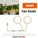 lumière croissance led usb 5v pink red blue sunlight controle remote moderne hydroponique