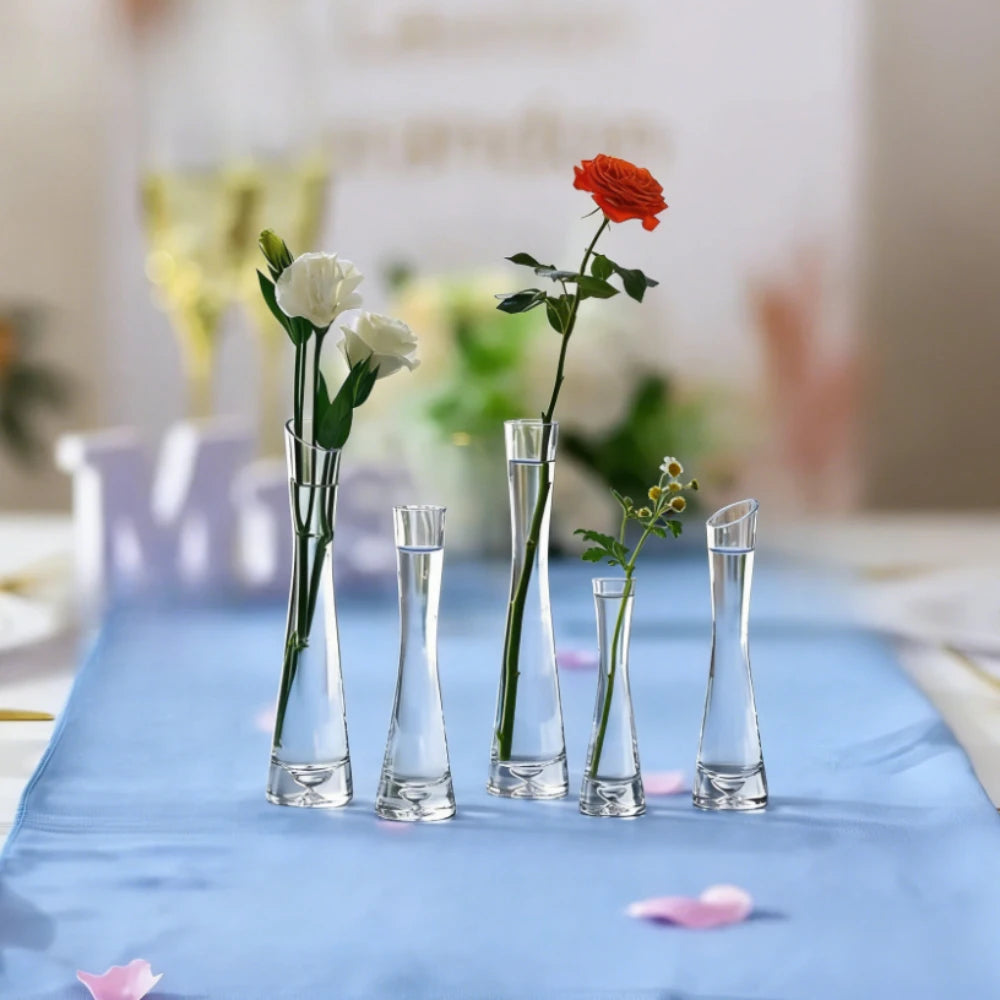 vases verre transparent modernes décoration plantes hydroponiques fleurs artificielles 15cm 20cm 25cm