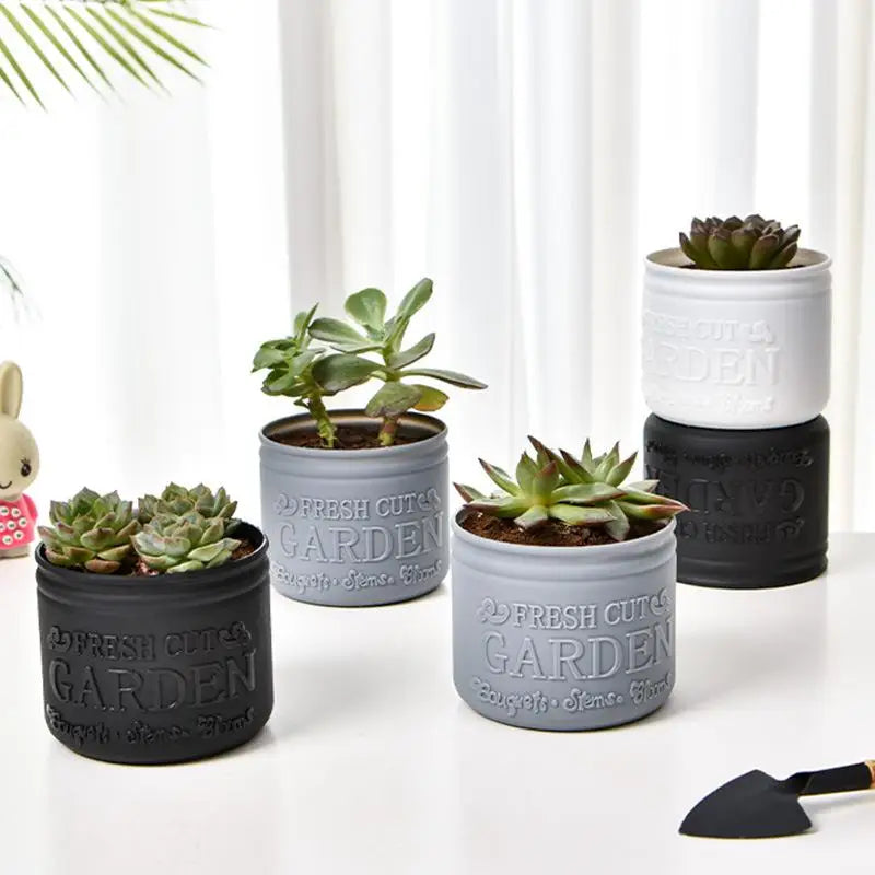 pots fleurs succulentes rustique couleurs gris noir blanc inscription fresh cut garden/eplantes echeveria/eplante verte/eplante