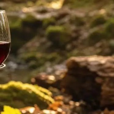 support verre argenté réutilisable métal moderne extérieur vaisselle respectueux environnement tringle unique
