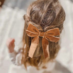 barrettes velours classiques cheveux clips métalliques noir marron rose pâle saphir bleu