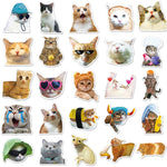 stickers adhésifs chats expressions faciles utiliser variés cartoongrats décoration jouets différents amusants