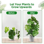poteaux support plantes mousse coco pliables osier décoration jardin intérieur minimaliste naturel