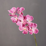 fleurs artificielles orchidées violettes blanches modernes décoration intérieure maison mariage anniversaire