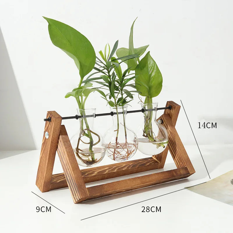 support plantes verre transparent bois naturel moderne minimaliste anneaux caoutchouc clips métalliques fixations
