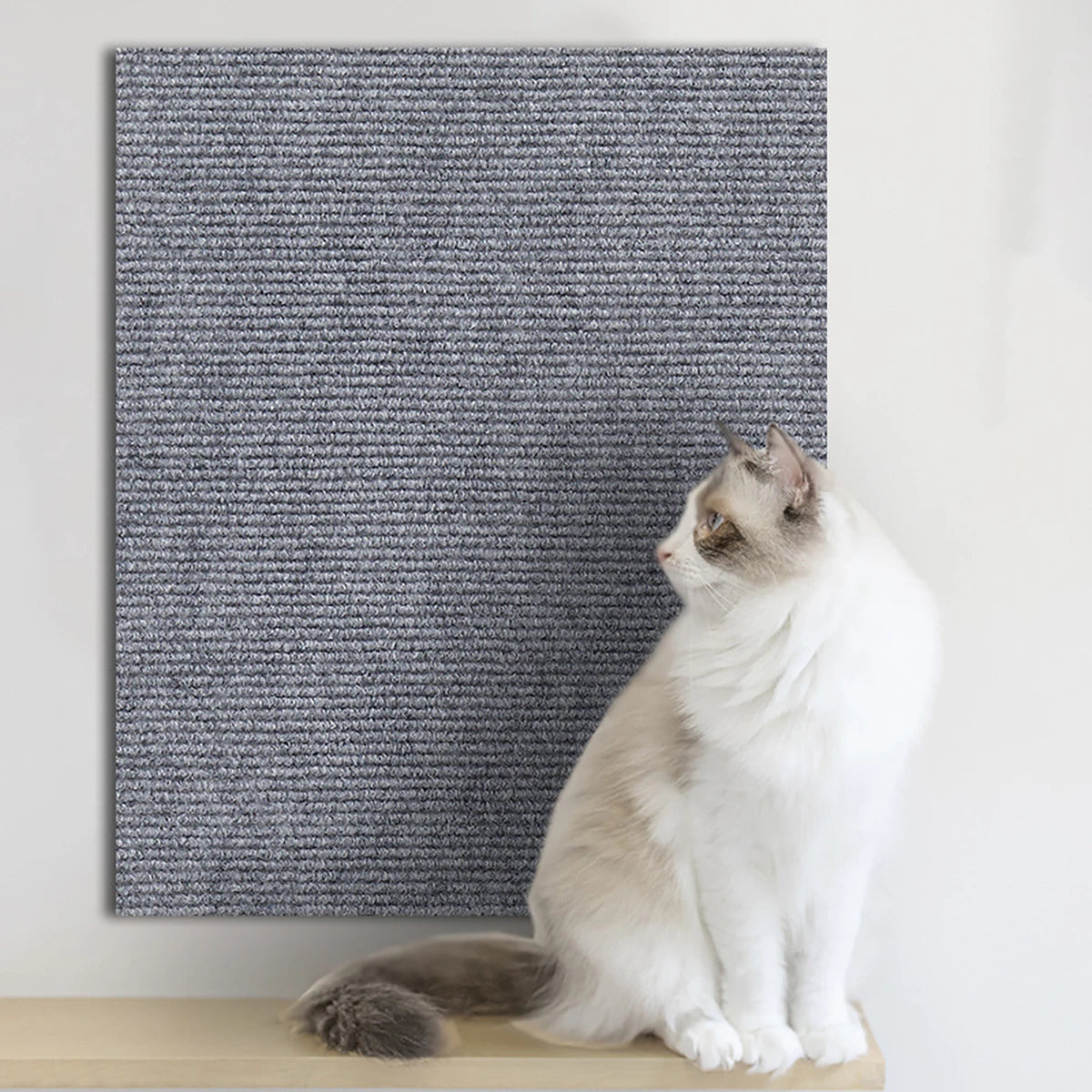tapis chat adhésif beige gris noir moderne anti rayures protection meubles fixe