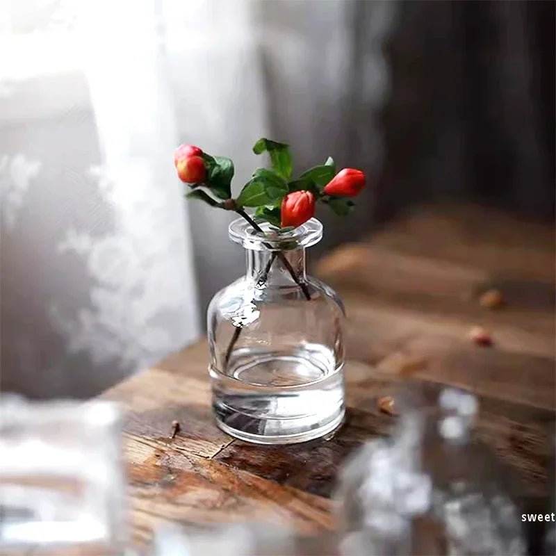 vase verre transparent moderne rose décoration intérieur hydroponique fleuri table studio