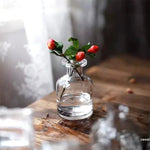 vase verre transparent moderne rose décoration intérieur hydroponique fleuri table studio