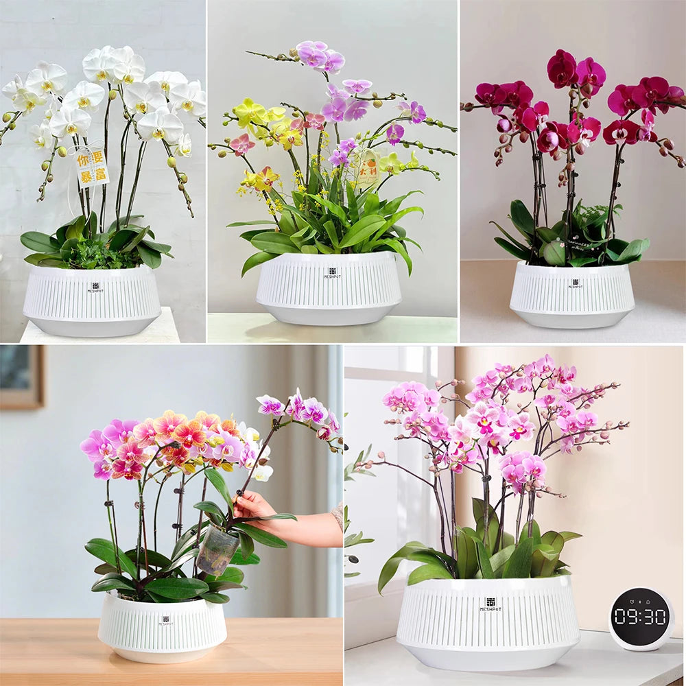 pots orchidées blancs moderne ventilation aération plateaux intérieurs extérieurs