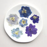 fleurs séchées bleu blanc jaune naturelles petals décor intérieur anniversaire cadeau art artisanal