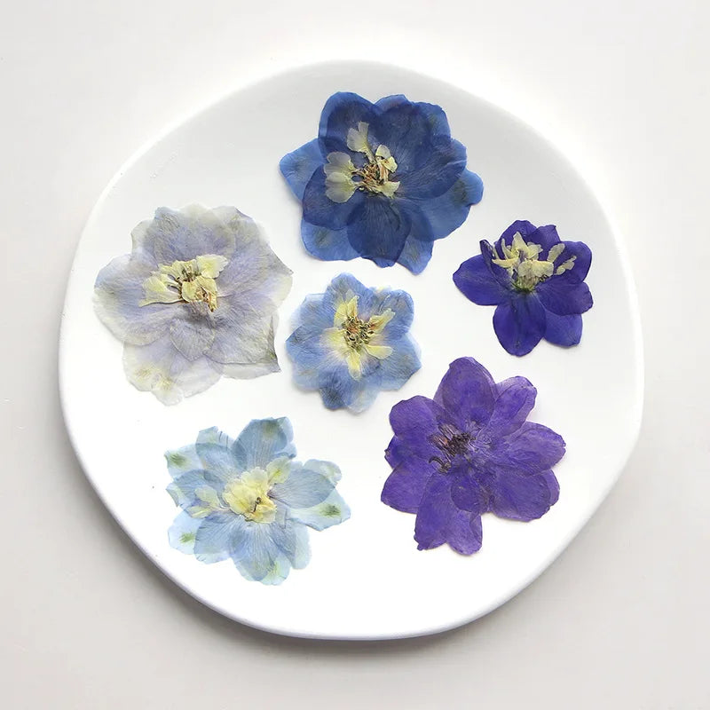 fleurs séchées bleu blanc jaune naturelles petals décor intérieur anniversaire cadeau art artisanal