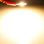 LED Chip COB 3W 5W 7W 10W 12W Blanc Blanc Chaud Sans Pilote DIY