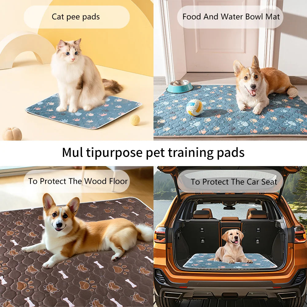 tapis absorbant imperméable chien chat motif pattes coeur lavable antidérapant intérieur moderne bleu