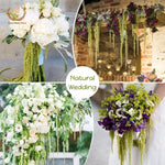décoration murale fleurs séchées naturelles vert clair finement filamenteuses intérieur anniversaire baby shower