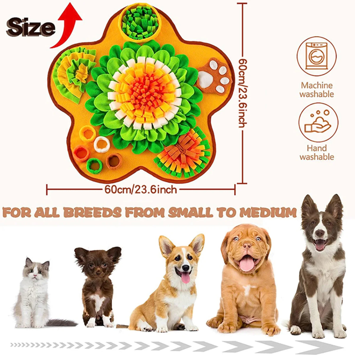 tapis d'activités chiens motif plage palmier coquilles bouée sandales étoiles bibi bleu blanc jaune