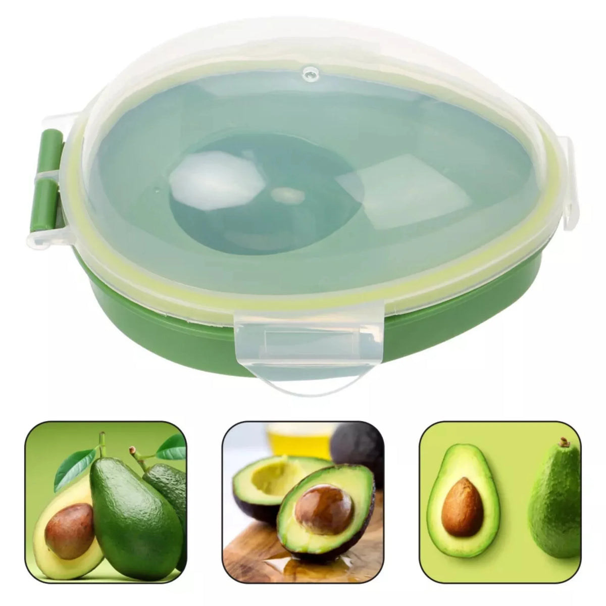 boîtes avocats vertes réutiliables plastique moderne couvercle flip top poignées