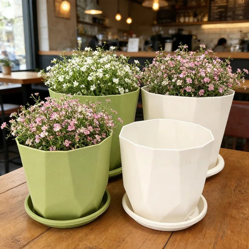 pots fleurs absorption eau succulentes intérieur décoration maison vert blanc moderne