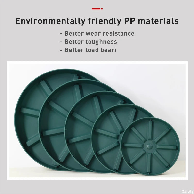 plateau protection racine bonsaï gris blanc vert rayures radiales moderne