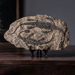 squelette dinosaure résine décor maison salle gris marron clair os roche tringle noire réaliste
