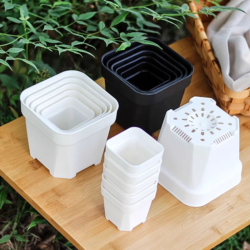 pots plantes succulentes blanc noir modernes décoration jardinière carrée drainage