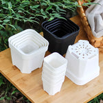 pots plantes succulentes blanc noir modernes décoration jardinière carrée drainage