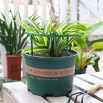 pots fleurs modernes vert opaque sans fixation soucoupe plastique balcon jardin