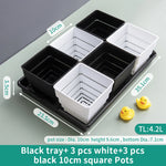 lot pot succulentes plastique blanc moderne trous drainage aération plantes maison