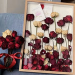 boîte cadre photo verre transparent miniatures décoratives maison poupée roses séchées portraits paysages