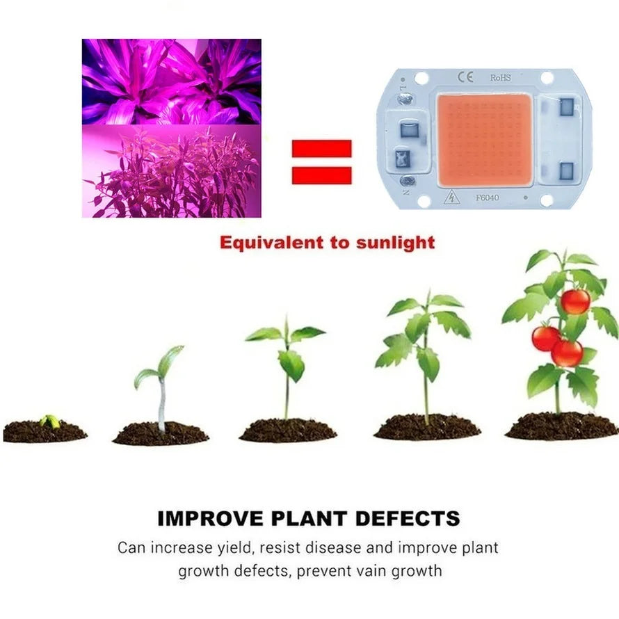 plaquette led cob 20w 30w 50w blanc full spectrum ac 220v smart diy