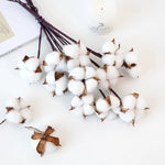 bouquet coton blanc naturel boules tiges brunes décoration intérieure artificielle noël bricolage