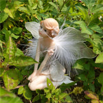 statues fées décoratives résine colorées ailes translucides robes ornées fleurs accessoires pastoralesextérieurintérieur