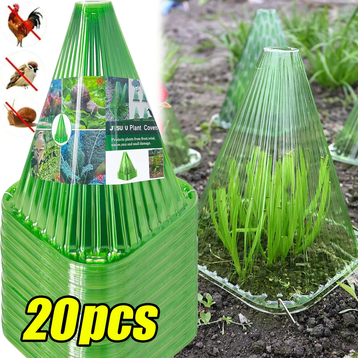cache plantes vert transparent rayures conique fixé sol protection plantes gel oiseaux escargots