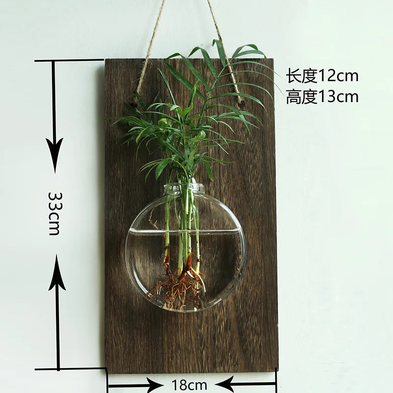 vases murals transparents bois marron plantes vertes deco bohème minimaliste suspension chambre salon