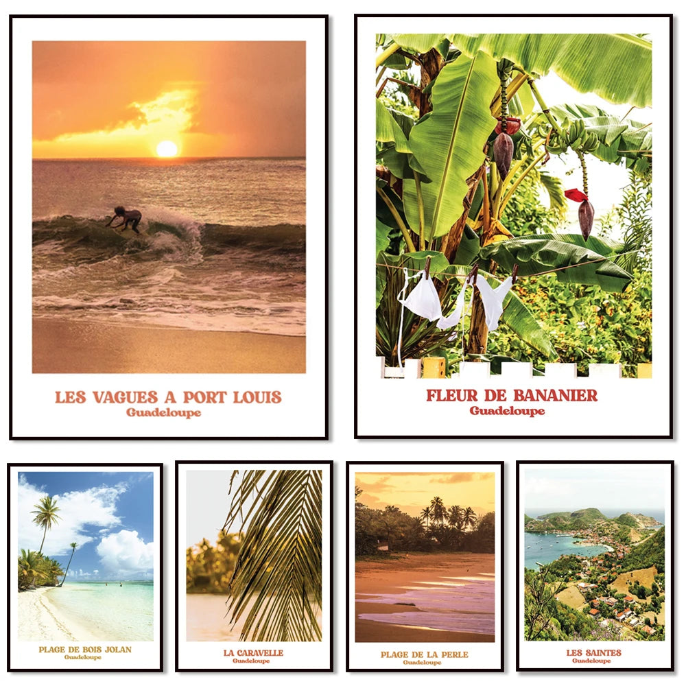 Éléments naturels de Guadeloupe, montrant des paysages côtiers idylliques avec des vagues, des fleurs de bananier, des palmiers et une vue panoramique sur la ville.