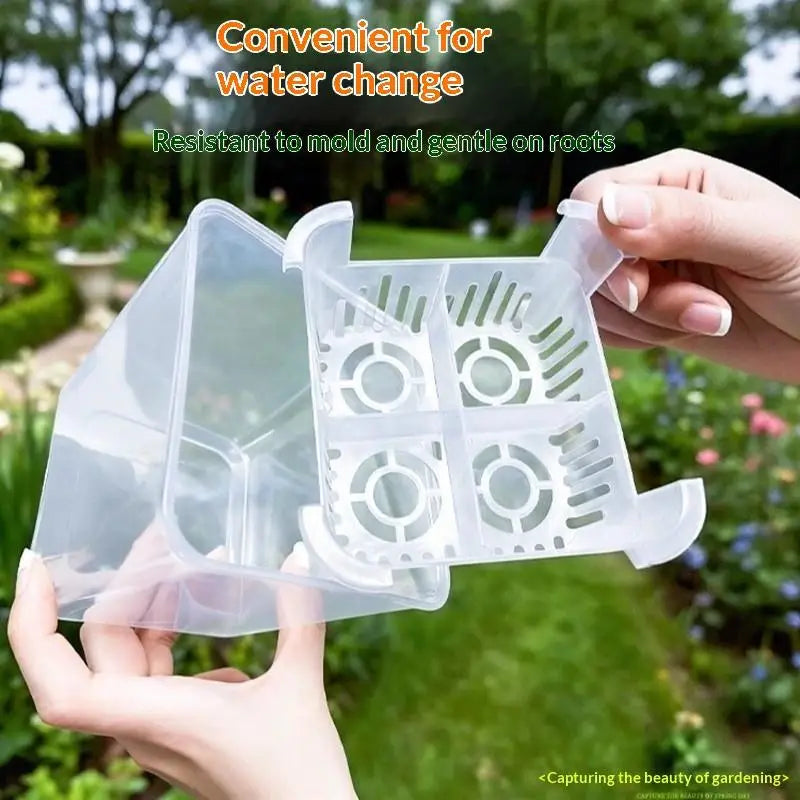 système culture hydroponique fleurs transparent panier blanc compartiments aération moderneintérieurDecoration tulipes poissons crabe