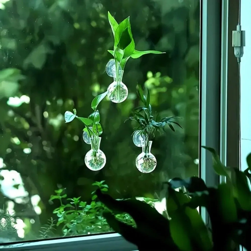 vases suspendus transparents supports adhésifs plantes pot hydroponie feuilles vertes minimaliste modernes