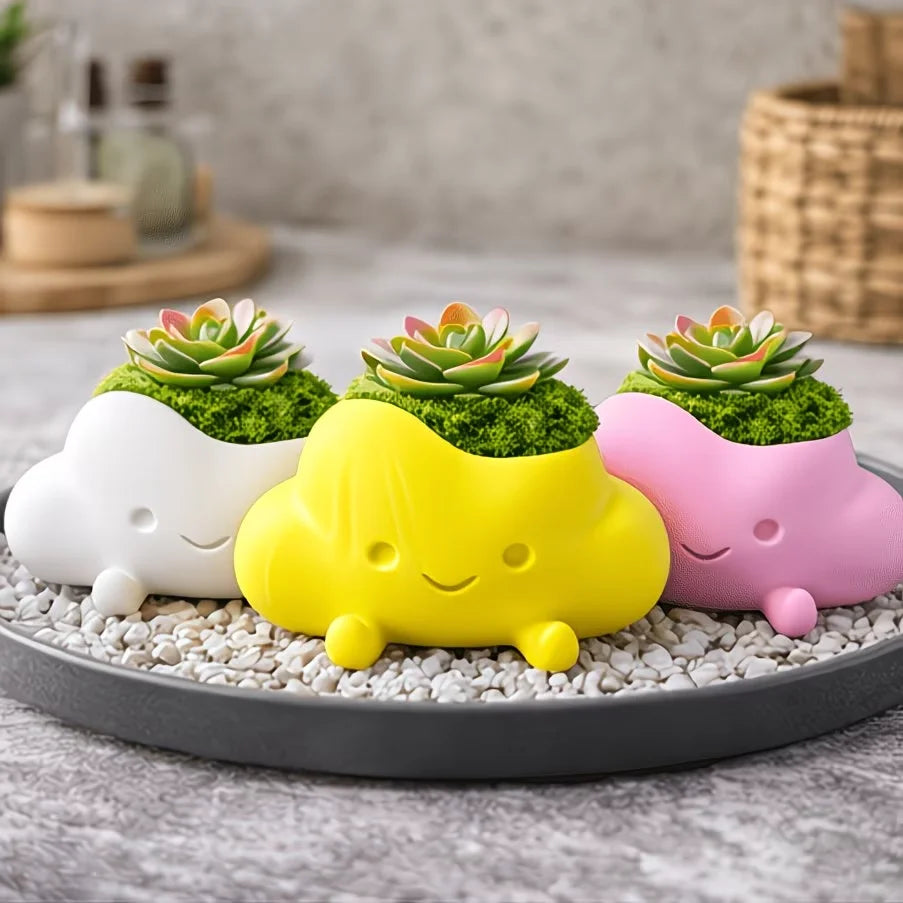 pots fleurs forme nuage souriant couleurs blanc rose jaune mignon cartoon succulente mousse
