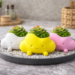 pots fleurs forme nuage souriant couleurs blanc rose jaune mignon cartoon succulente mousse