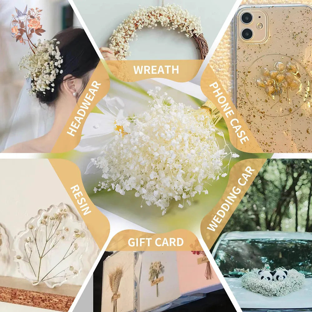 fleurs séchées blanches mini bouquet 50 pièces décoration naturelle artisanale maison mariage