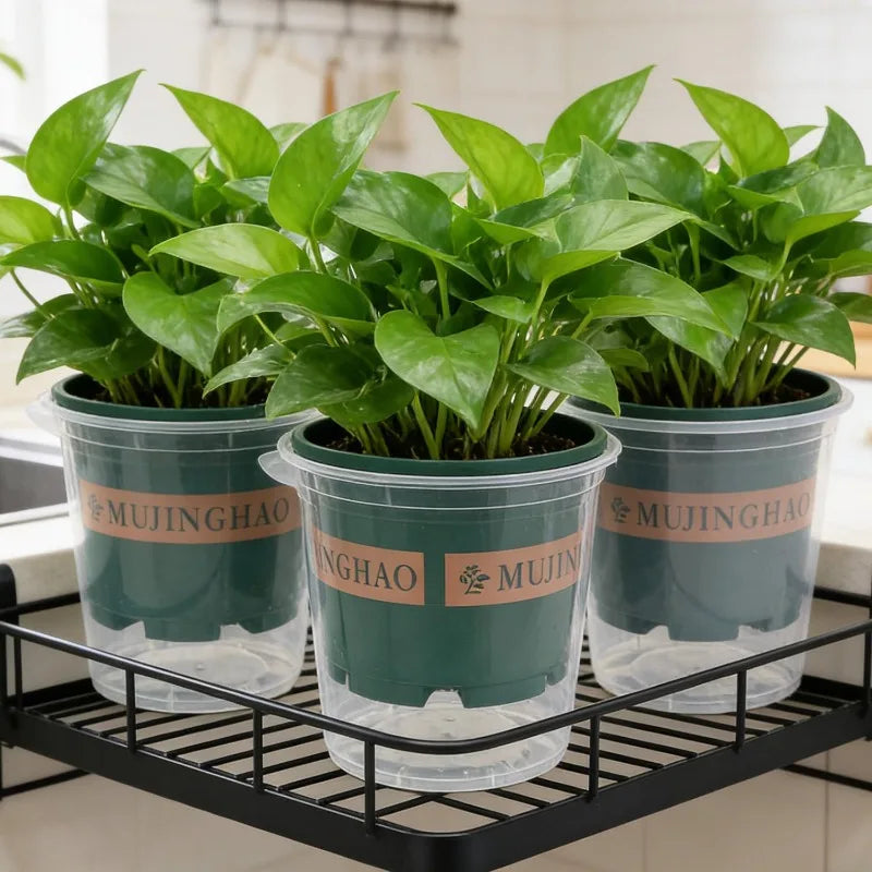 pots fleurs auto arrosants facilité remplissage protection racines plantes vertes fenêtres moderne opacité grille