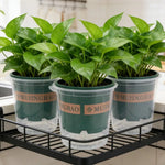 pots fleurs auto arrosants facilité remplissage protection racines plantes vertes fenêtres moderne opacité grille