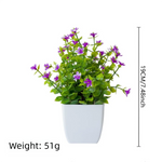 décoration extérieure plante artificielle moderne pot carré blanc branches feuilles vertes fleurs violettes minimalisteextérieur
