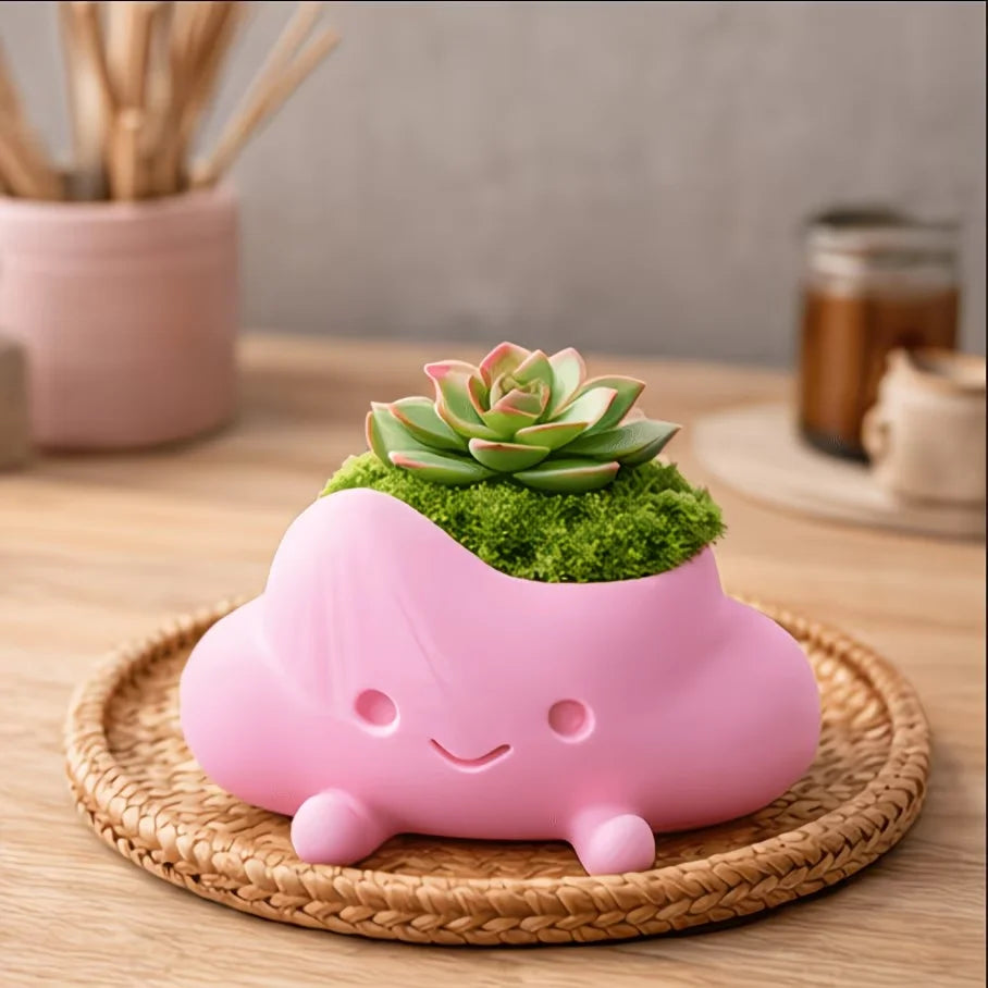 pots fleurs forme nuage souriant couleurs blanc rose jaune mignon cartoon succulente mousse