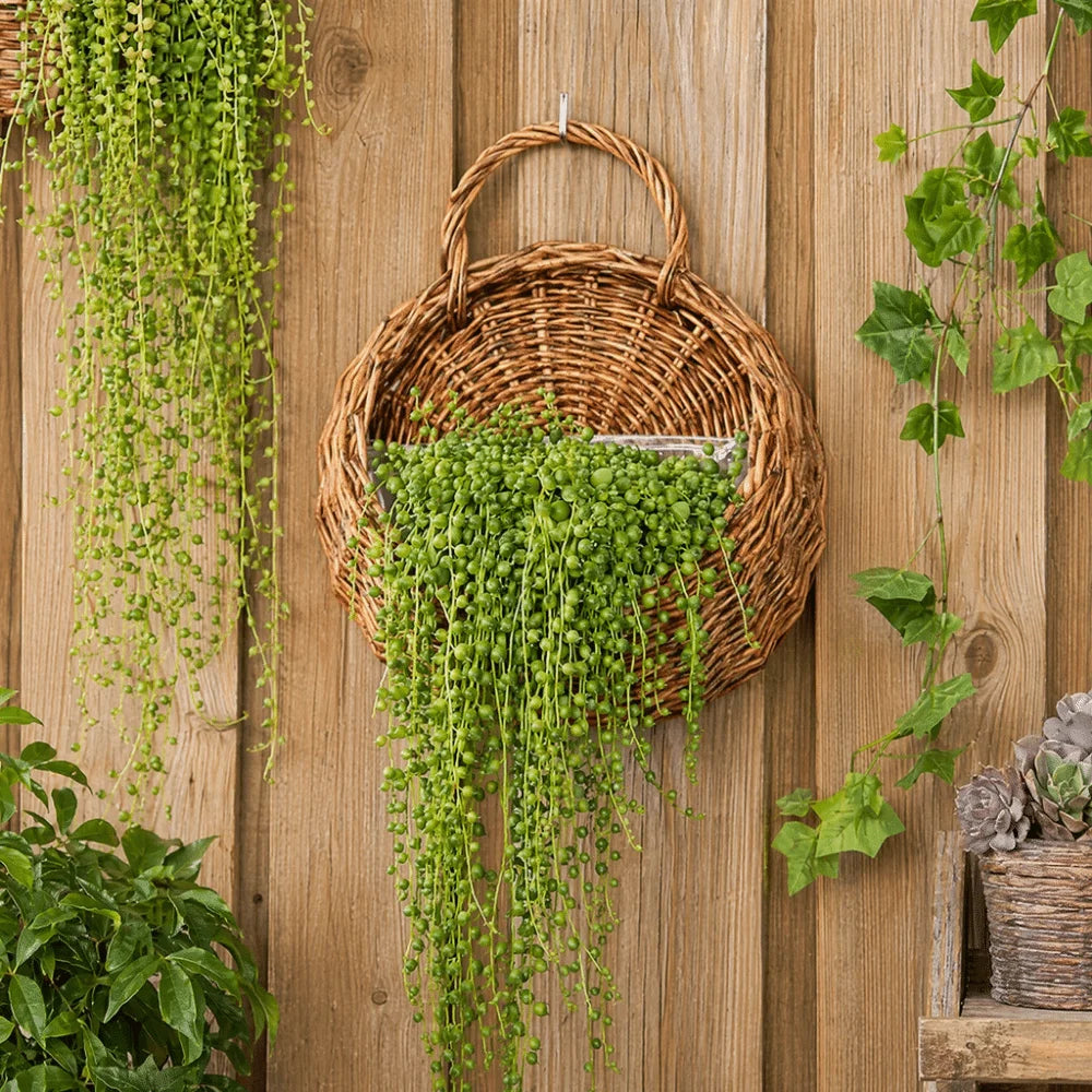 panier osier tressé marron clair traditionnel plantes fleurs balcon maison