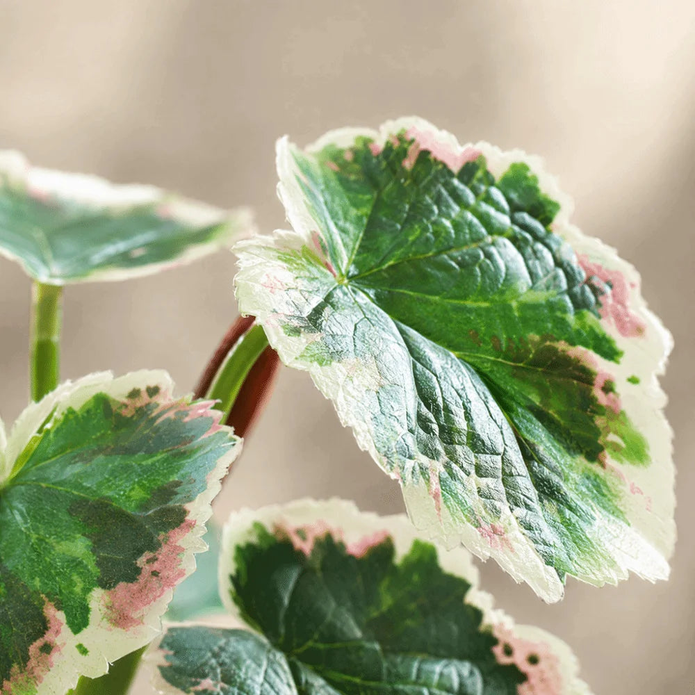 plante artificielle verte feuilles ovales moderne décoration intérieure pot branches naturelles