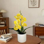 décoration intérieure orchidées artificielles pots blancs fleurs simples feuilles vertes moderne