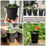 pot fleur plastique noir mat moderne plantes vertes succulentes jardin décoration maison