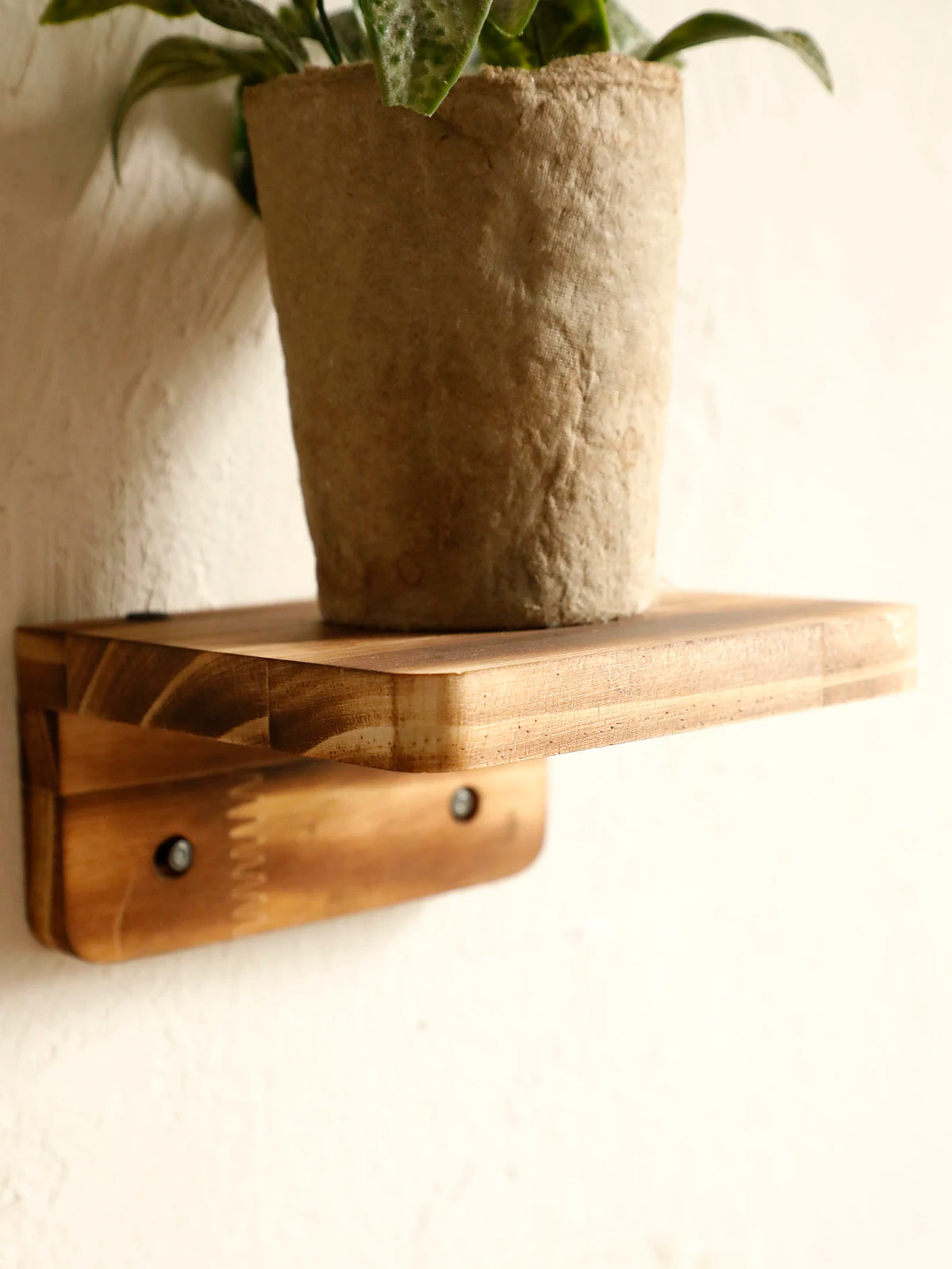 étagère murale bois moderne étagères murales deco maison présentoir salon pot fleur