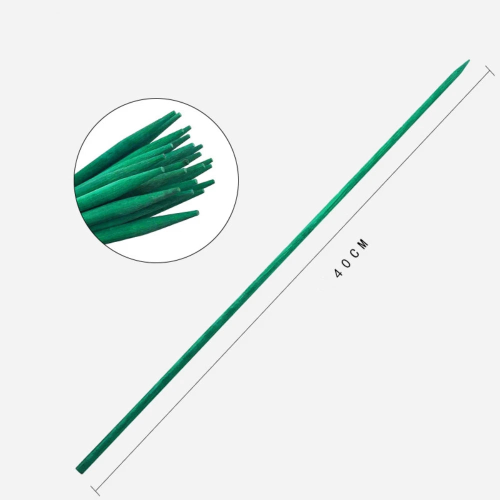 supports plante bambou vert lisse 40cm jardinage utilitaire insertion sol